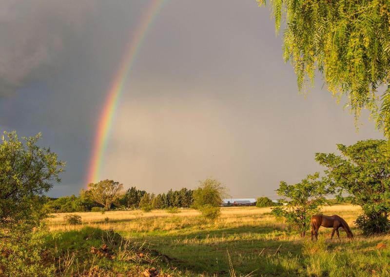 A Cherry Lane Self Catering and B&B image