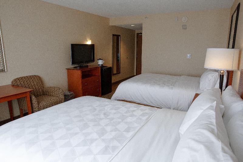 Holiday Inn Battle Creek photo 11