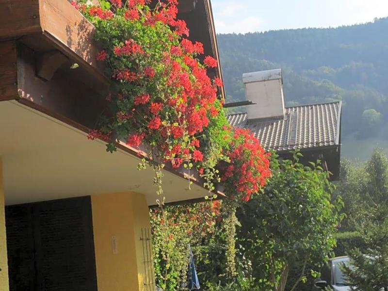 Alp Inn image