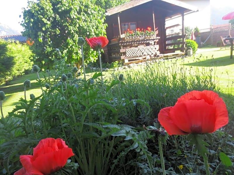 Alp Inn image