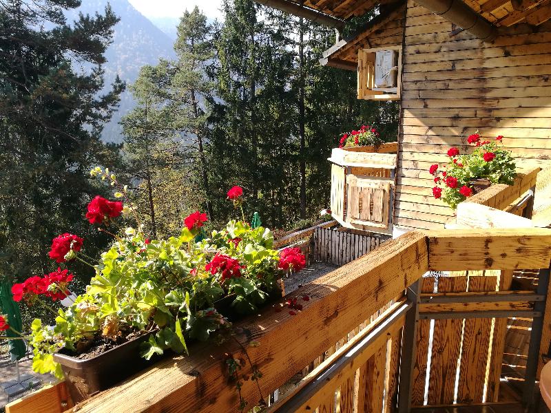 Ribno Alpine Hotel image