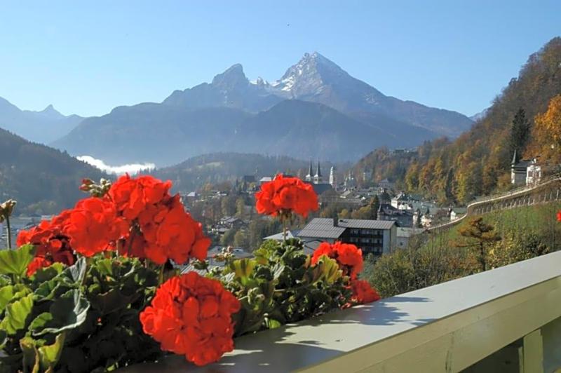 Krone image