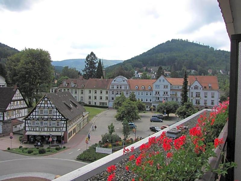 Harzer am Kurpark image