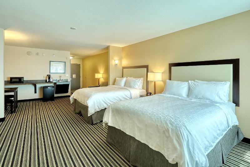 Holiday Inn Express Hotel & Suites Batavia - Darie photo 14