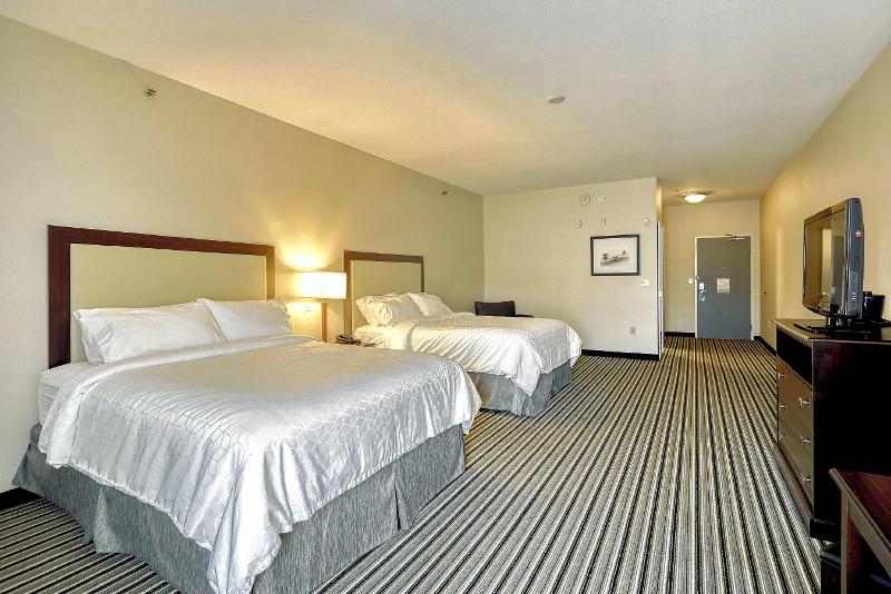 Holiday Inn Express Hotel & Suites Batavia - Darie photo 15