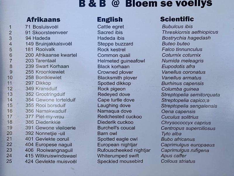 B&B at Bloem image