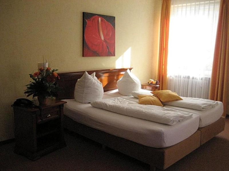 Altstadthotel Schex image