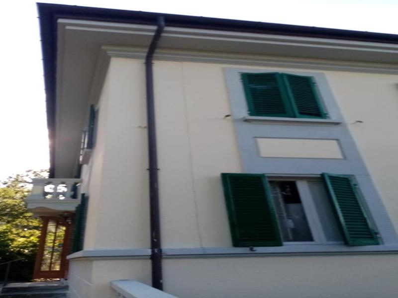 Nappini image