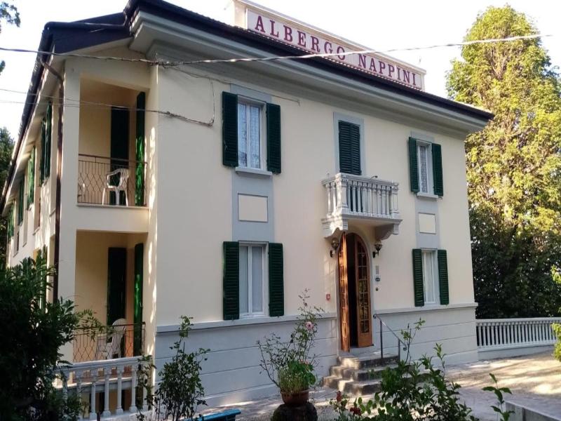 Nappini image