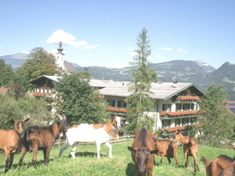 Haflingerhof hotel image