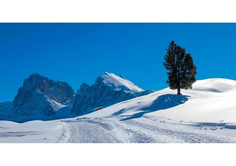 Seiser Alm Plaza image