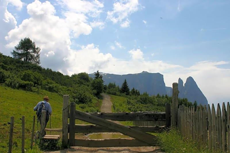 Seiser Alm Plaza image