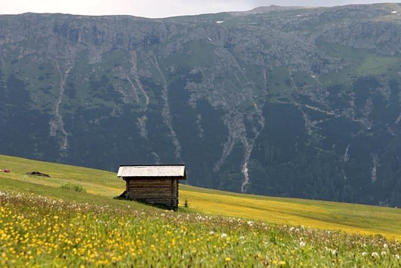 Seiser Alm Plaza image