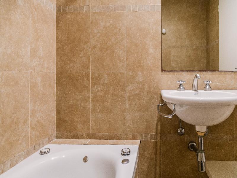 Color Botanico image