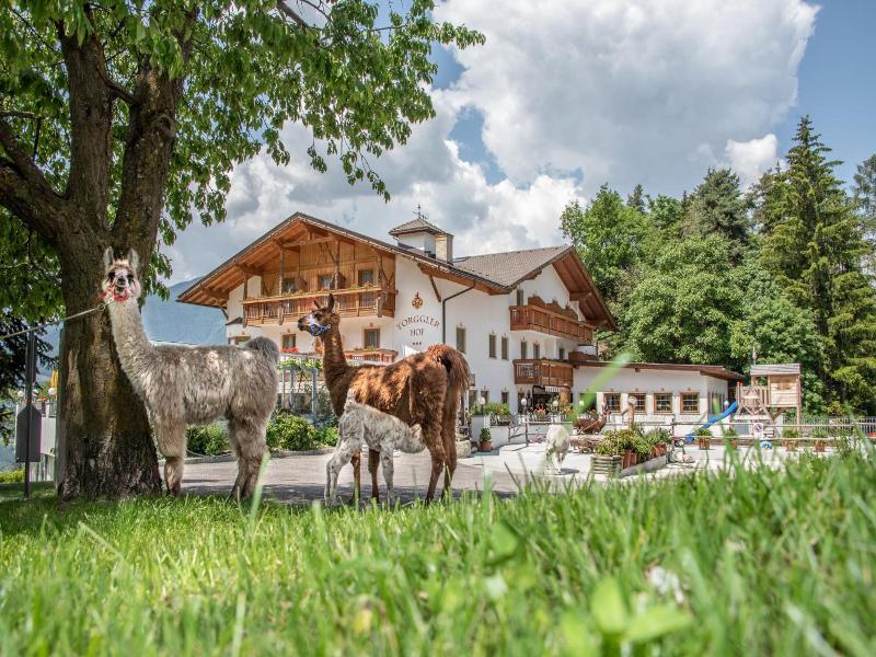 Torgglerhof image