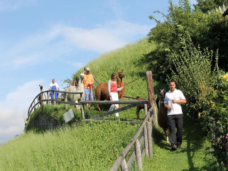 Torgglerhof image