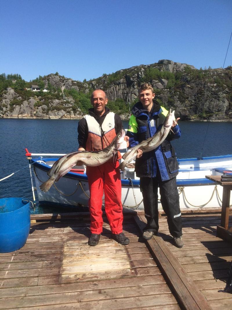 Sotra Rorbusenter image