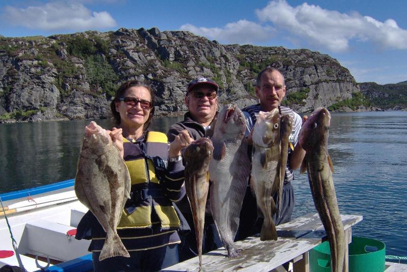 Sotra Rorbusenter image