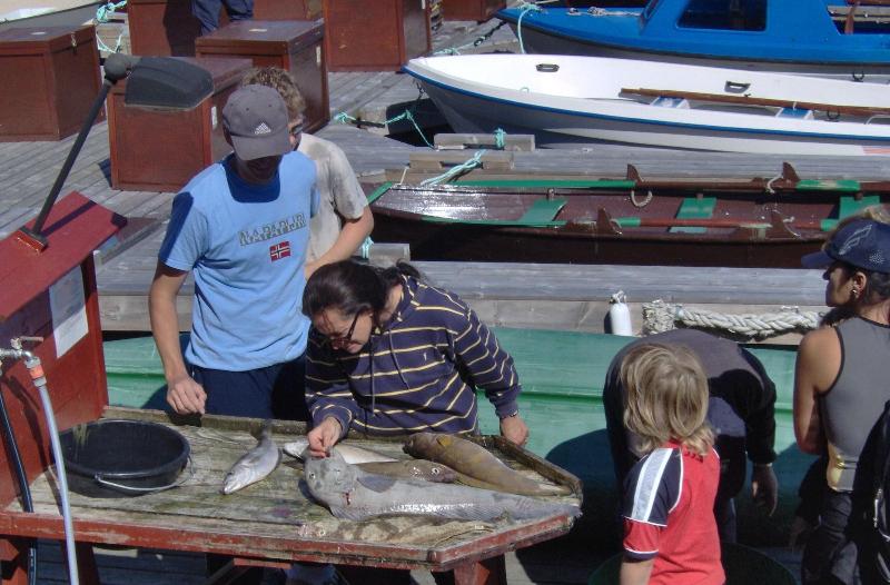 Sotra Rorbusenter image