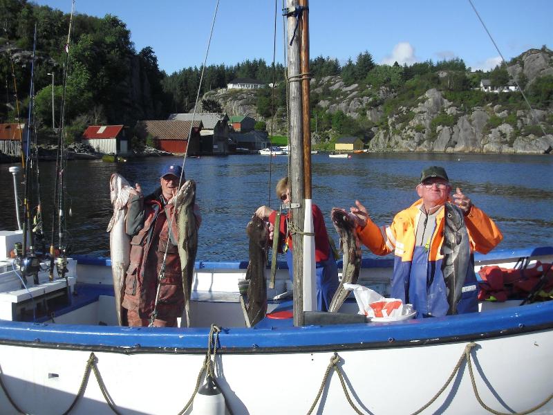 Sotra Rorbusenter image