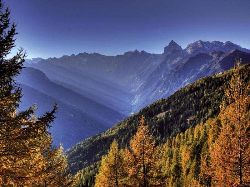 Alpin image