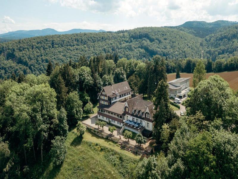 Hotel Bienenberg image