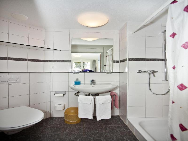 Hotel Bienenberg image