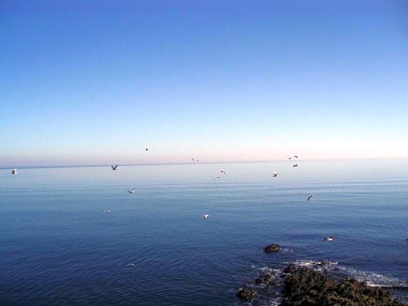 Diamanti image