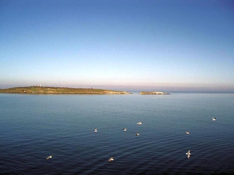 Diamanti image