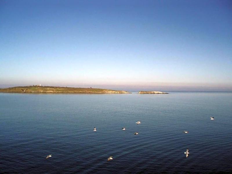Diamanti image