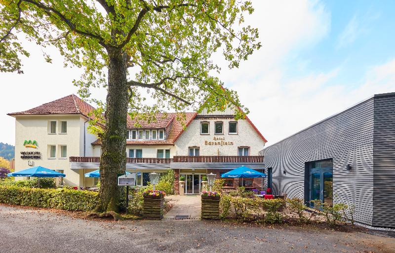 Waldhotel Baerenstein image