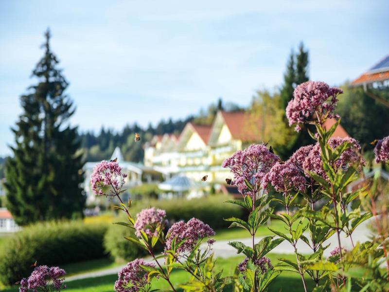 Sport & Wellnesshotel Angerhof image