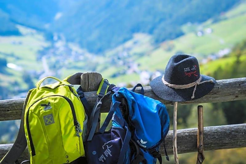 Bergfrieden image