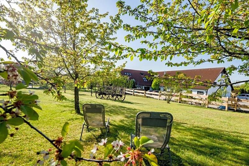 Landhotel Krausnick image