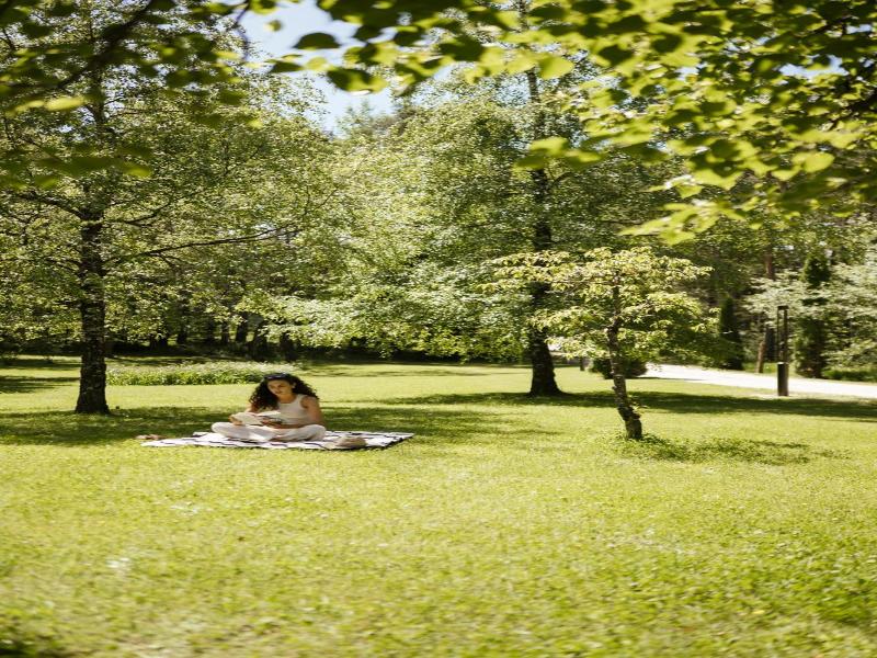 Waldsee image