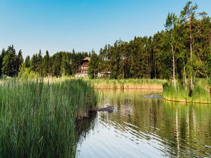 Waldsee image