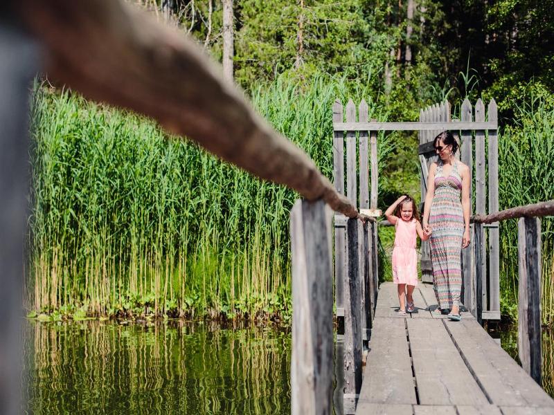 Waldsee image