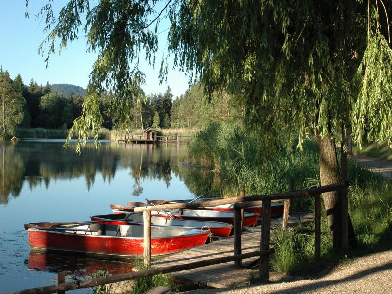 Waldsee image