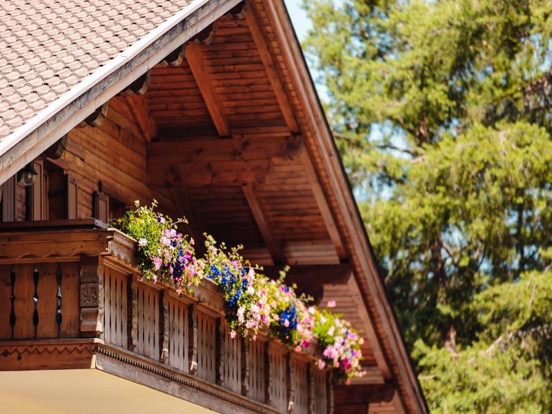 Waldsee image