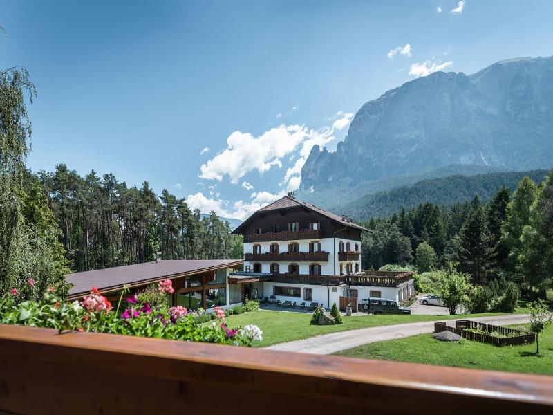 Waldsee image