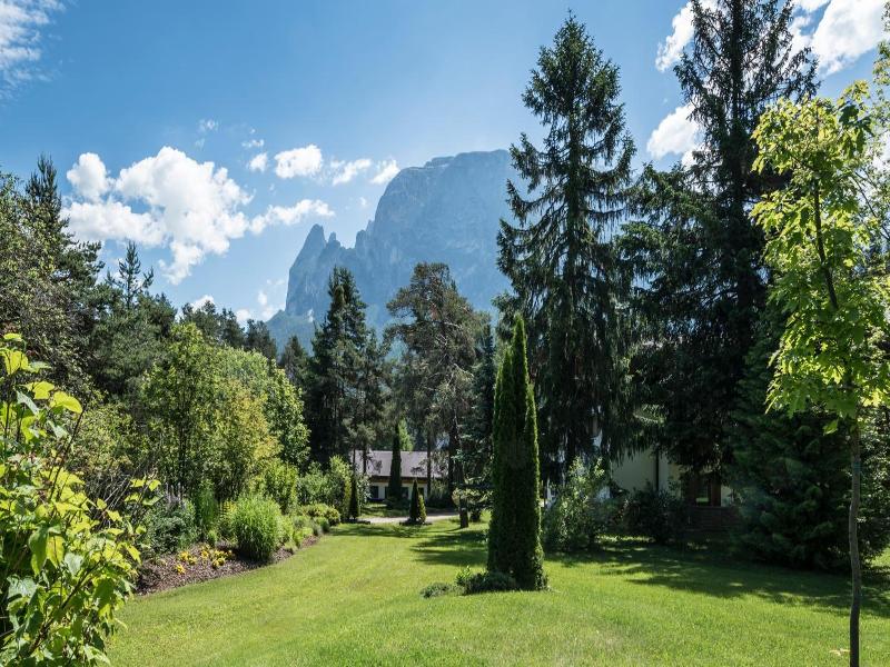 Waldsee image