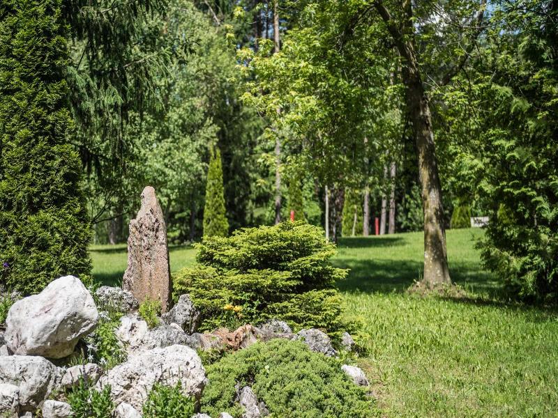 Waldsee image