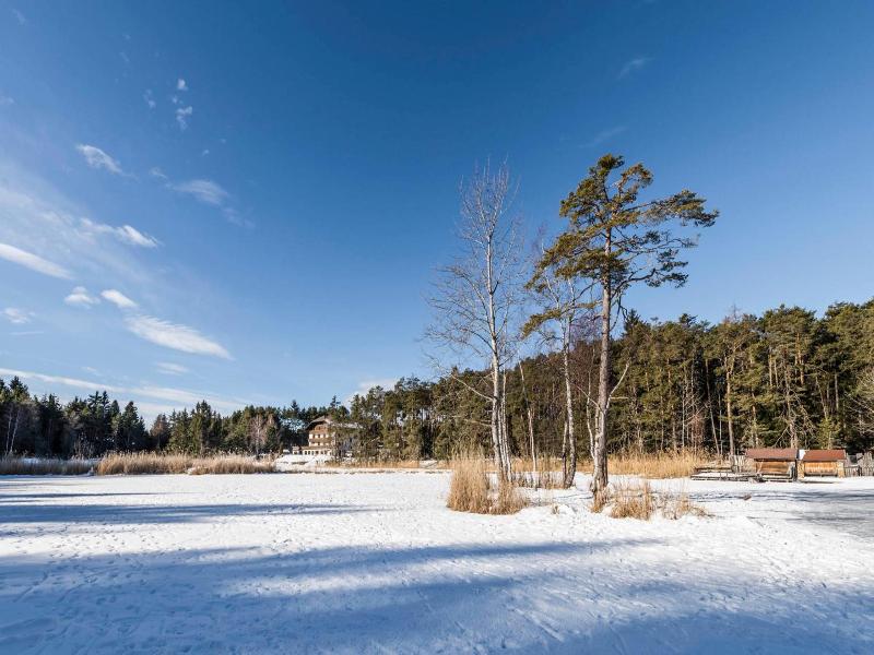 Waldsee image