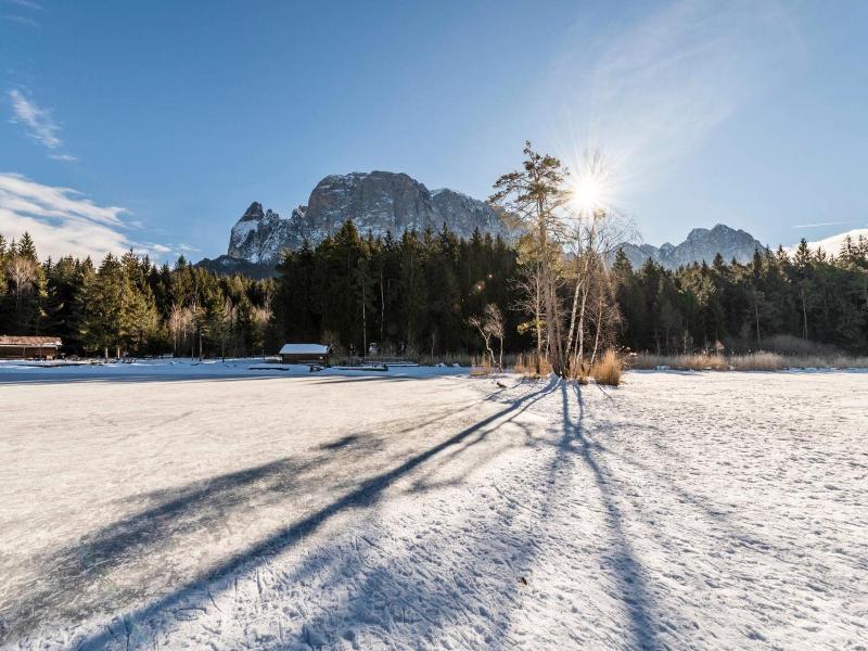 Waldsee image