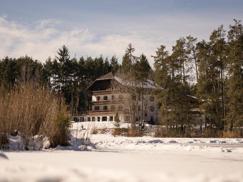 Waldsee image