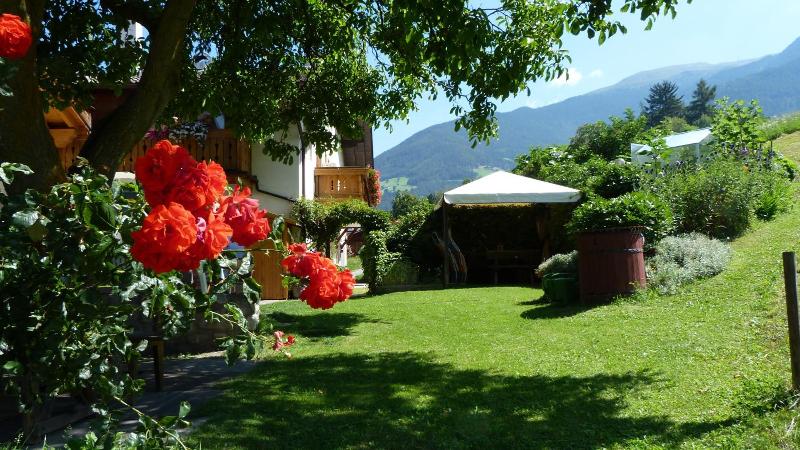 Pension Summererhof image
