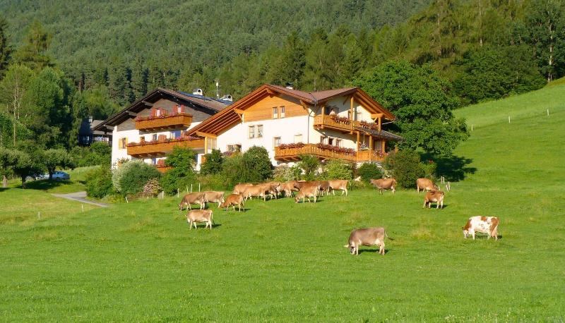 Pension Summererhof image