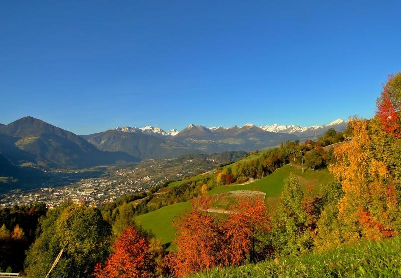 Pension Summererhof image