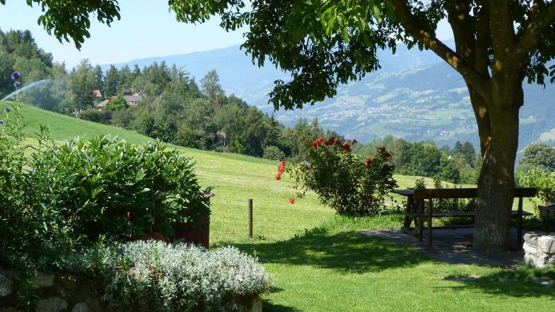 Pension Summererhof image