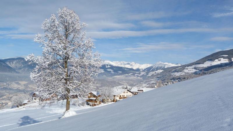 Pension Summererhof image